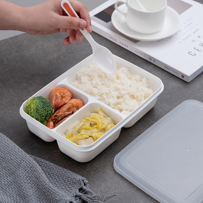 Hộp cơm Bento nhựa PP không chứa BPA thân thiện với môi trường cho trẻ em