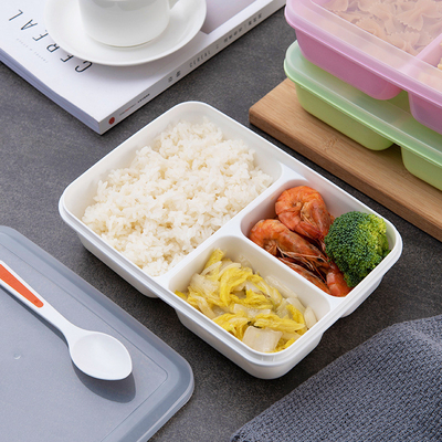 Hộp đựng đồ ăn trưa bằng nhựa có thể tái sử dụng cho trẻ em, Hộp cơm Bento không chứa BPA